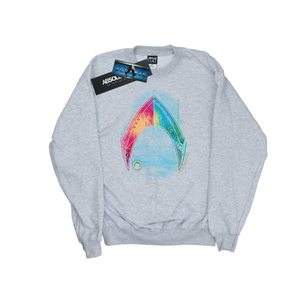 DC Comics Mens Aquaman Mera Logo Sweatshirt Sports Grey S