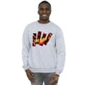 Miniatyrbilde 2 av 3: DC Comics Mens The Flash Pillars Sweatshirt