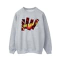 Miniatyrbilde 1 av 3: DC Comics Mens The Flash Pillars Sweatshirt