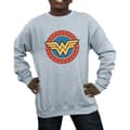 Miniatyrbilde 3 av 5: DC Comics Boys Wonder Woman Circle Logo Sweatshirt