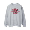 Pikkukuva 1 / 4: DC Comics Womens/Ladies Superman Super Hero Sweatshirt