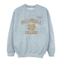 Miniatyrbilde 1 av 4: Disney Mens Onward Willowdale College Sweatshirt