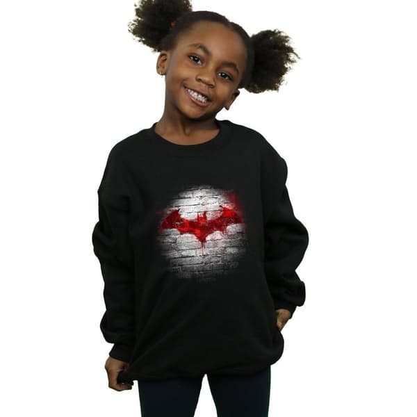 DC Comics Batman Logo Wall Sweatshirt för flickor