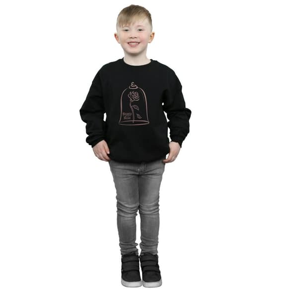 Disney Princess Boys Princess Rose Gold Sweatshirt