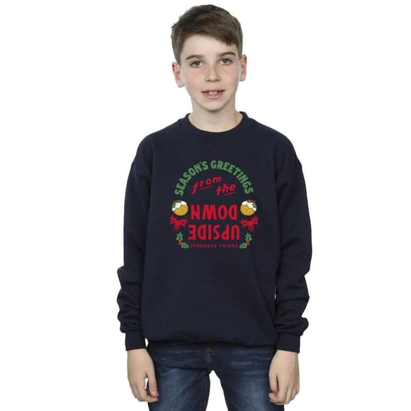 Netflix Pojkar Stranger Things Upside Down Sweatshirt med årstidshälsningar