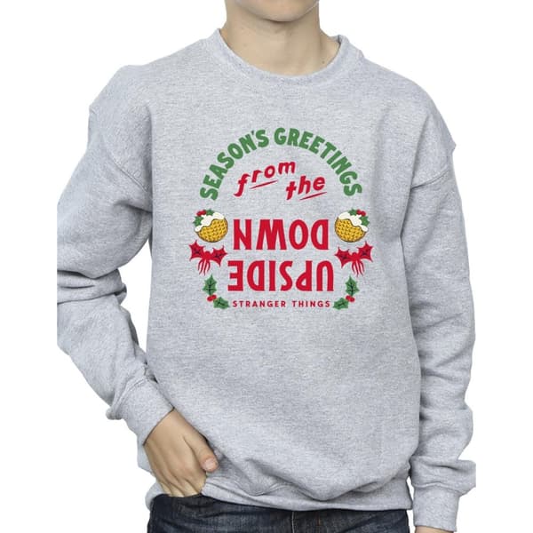 Netflix Pojkar Stranger Things Upside Down Sweatshirt med årstidshälsningar