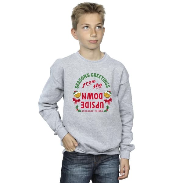 Netflix Pojkar Stranger Things Upside Down Sweatshirt med årstidshälsningar