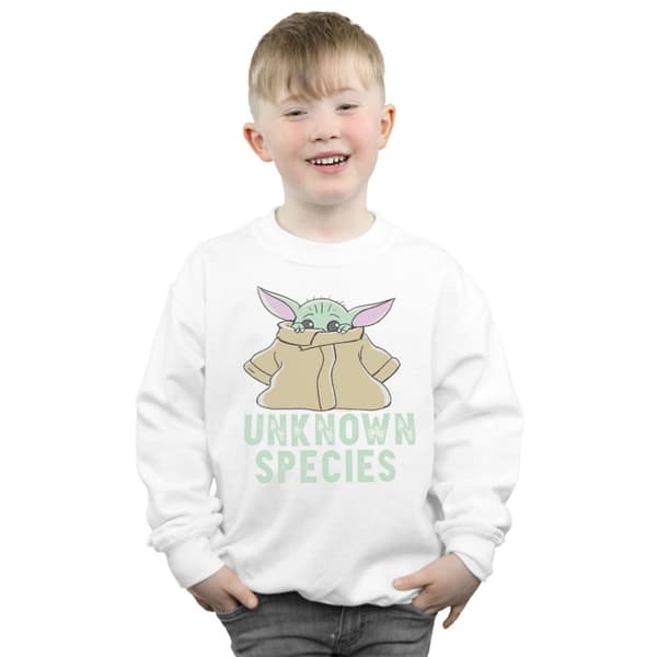 Star Wars Boys The Mandalorian Unknown Species Sweatshirt