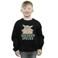 Miniatyrbillede 2 af 3: Star Wars Boys The Mandalorian Unknown Species Sweatshirt