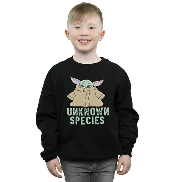 Star Wars Boys The Mandalorian Unknown Species Sweatshirt