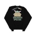 Miniatyrbillede 1 af 3: Star Wars Boys The Mandalorian Unknown Species Sweatshirt
