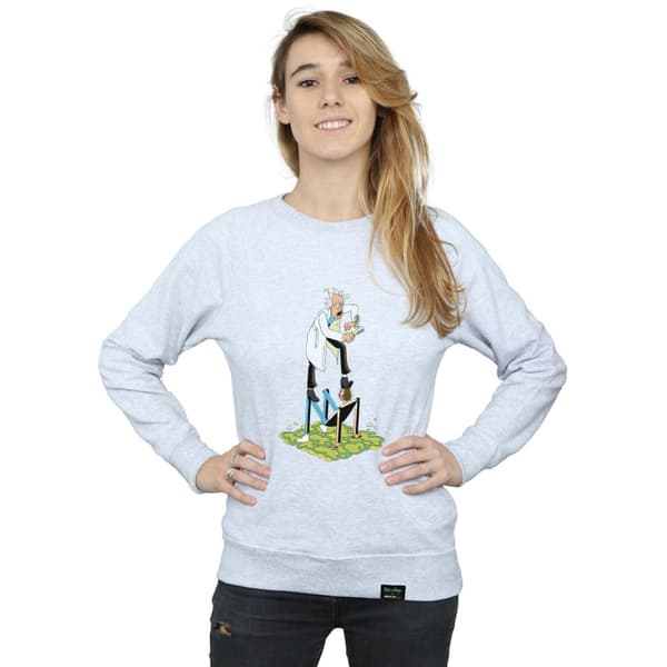 Rick And Morty Womens/Ladies Stylised Characters Sweatshirt
