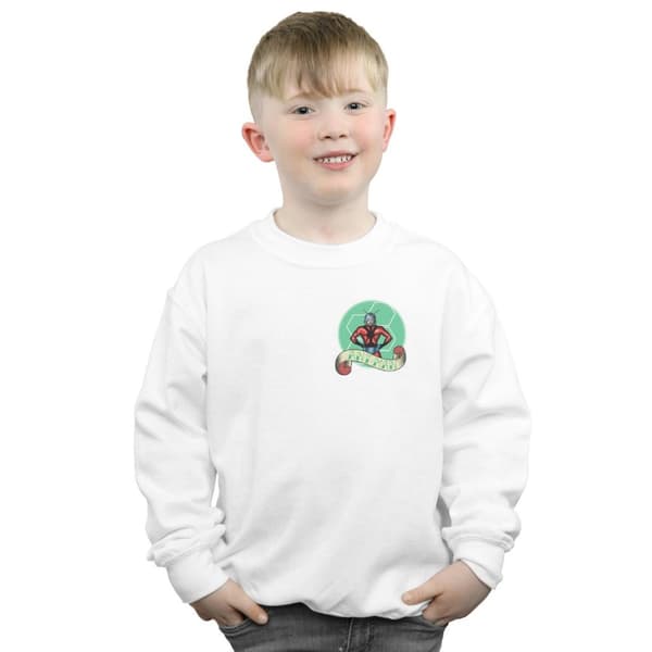 Marvel Sweatshirt med brösttryck och tatuering - Ant-Man, pojkar
