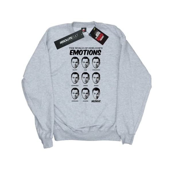 The Big Bang Theory Womens/Ladies Sheldon Emotions Sweatshirt Heather Grey S
