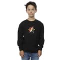 Miniatyrbillede 2 af 4: DC Comics Boys The Flash Lightning Logo Sweatshirt