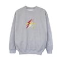 Miniatyrbillede 1 af 4: DC Comics Boys The Flash Lightning Logo Sweatshirt
