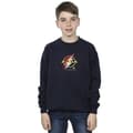 Miniatyrbillede 2 af 4: DC Comics Boys The Flash Lightning Logo Sweatshirt