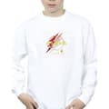 Miniatyrbillede 3 af 4: DC Comics Boys The Flash Lightning Logo Sweatshirt
