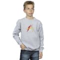 Miniatyrbillede 2 af 4: DC Comics Boys The Flash Lightning Logo Sweatshirt