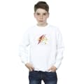 Miniatyrbillede 2 af 4: DC Comics Boys The Flash Lightning Logo Sweatshirt