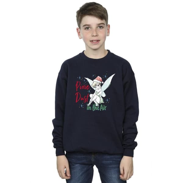 Disney Boys Tinker Bell Pixie Dust Sweatshirt