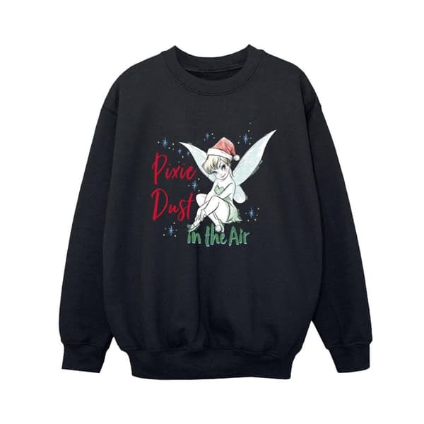 Disney Boys Tinker Bell Pixie Dust Sweatshirt