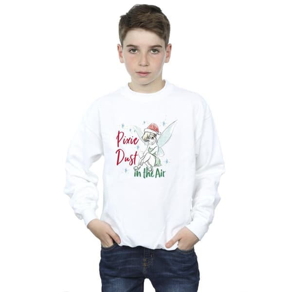 Disney Boys Tinker Bell Pixie Dust Sweatshirt