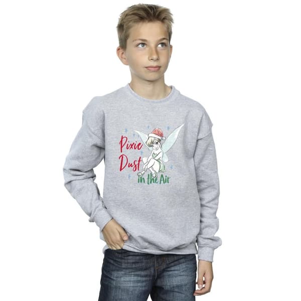 Disney Boys Tinker Bell Pixie Dust Sweatshirt