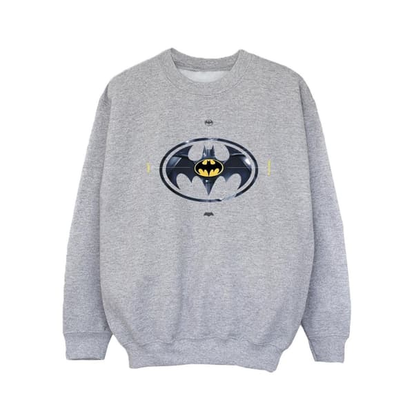 DC Comics The Flash Batman Metal Logo - Sweatshirt för flickor