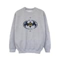 Miniatyrbild 1 av 4: DC Comics The Flash Batman Metal Logo - Sweatshirt för flickor