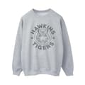 Miniatyrbilde 1 av 3: Netflix Womens/Ladies Stranger Things Hawkins Grey Tiger Sweatshirt