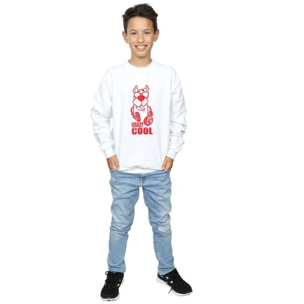 Scooby Doo Boys Crazy Cool Sweatshirt