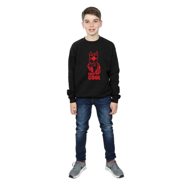 Scooby Doo Boys Crazy Cool Sweatshirt