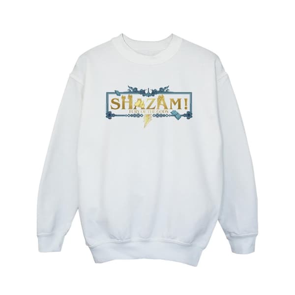 DC Comics Girls Shazam Fury Of The Gods Sweatshirt med gyllene logotyp