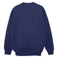 Miniatyrbillede 2 af 3: Marvel Womens/Ladies Spidey And His Amazing Friends Neighbourhood Sweatshirt