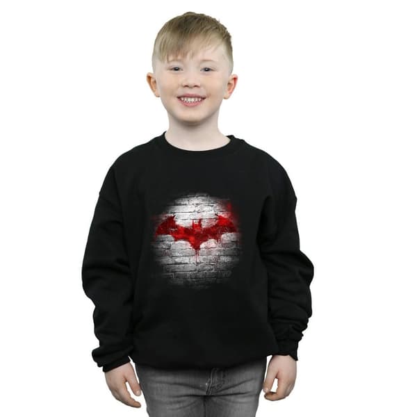 DC Comics Boys Batman Logo Wall Sweatshirt