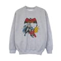 Miniatyrbillede 1 af 4: DC Comics Boys Batman And Robin Sweatshirt