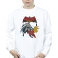 Miniatyrbillede 3 af 4: DC Comics Boys Batman And Robin Sweatshirt
