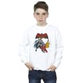 Miniatyrbillede 2 af 4: DC Comics Boys Batman And Robin Sweatshirt