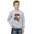 Miniatyrbillede 2 af 4: DC Comics Boys Batman And Robin Sweatshirt