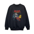 Miniatyrbillede 1 af 4: DC Comics Boys Batman And Robin Sweatshirt
