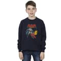 Miniatyrbillede 2 af 4: DC Comics Boys Batman And Robin Sweatshirt