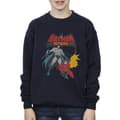 Miniatyrbillede 3 af 4: DC Comics Boys Batman And Robin Sweatshirt