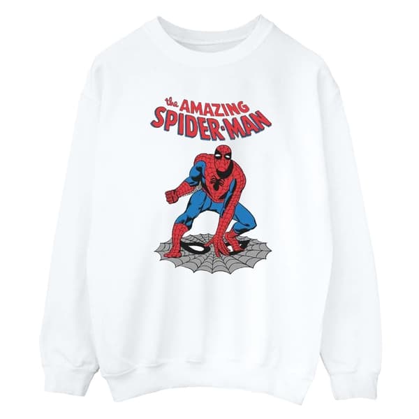 Marvel Boys The Amazing Spider-Man Sweatshirt