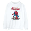 Miniatyrbillede 1 af 4: Marvel Boys The Amazing Spider-Man Sweatshirt