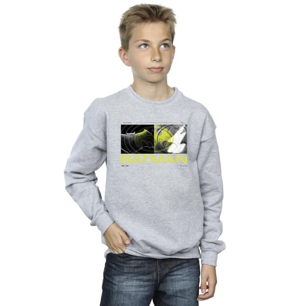 DC Comics Pojkar The Flash Batman Future To Past Sweatshirt
