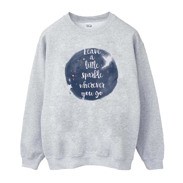 Disney Boys Tinker Bell A Little Sparkle Sweatshirt