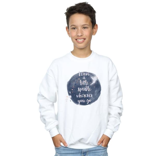 Disney Boys Tinker Bell A Little Sparkle Sweatshirt