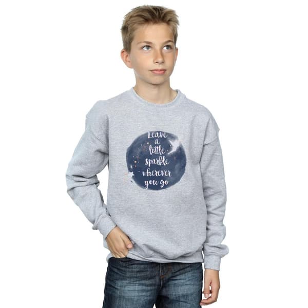 Disney Boys Tinker Bell A Little Sparkle Sweatshirt