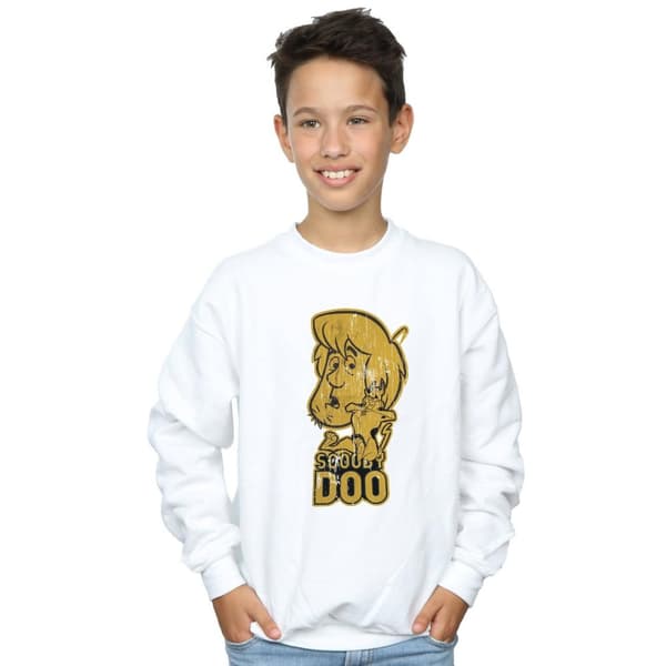 Scooby Doo Boys And Shaggy Sweatshirt